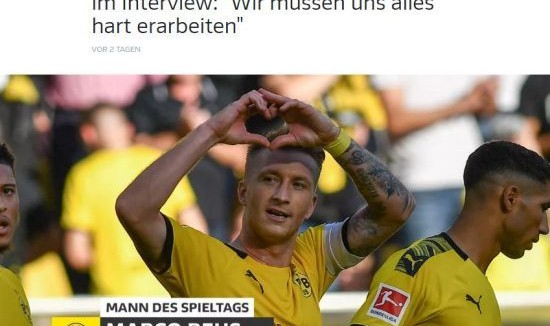  罗伊斯达成德甲三百场里程碑  